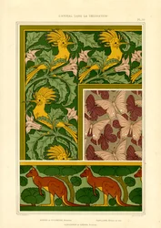 Exotische Tiermotive: Kakadus, Schmetterlinge und Kängurus (Litho)