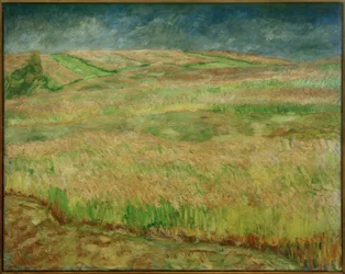 Blühende Getreidelandschaften