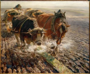 Dampfende Scholle