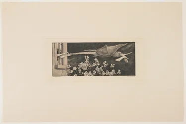 Entführung, 1881