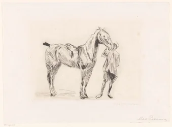 Mann mit Reitpferd