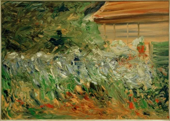 Blumenstauden am Gärtnerhäuschen