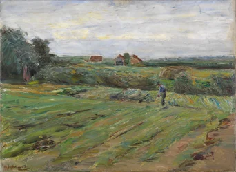 Erntefeld