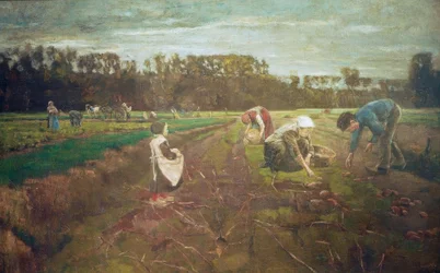 Kartoffelernte in Barbizon