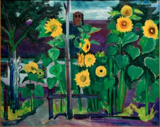 Sonnenblumen vor Wohnung