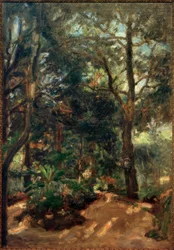 Grab mit Sonnenflecken