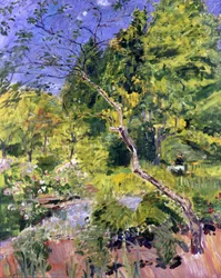 Park in der Pfalz (Neukastel)