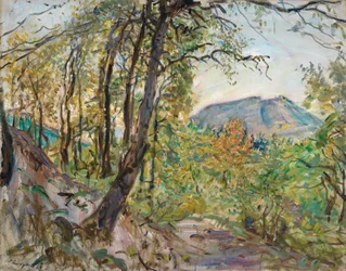 Pfälzische Landschaft