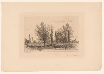 Landschaft mit Wiese und Blick auf eine Stadt