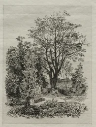 Mein Garten