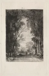 Reisender auf einer Straße im Wald