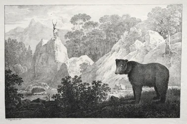 Gebirgslandschaft mit Bär im Vordergrund