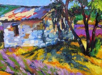 Sommer in der Provence