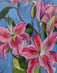 Lebendige rosa Lilien