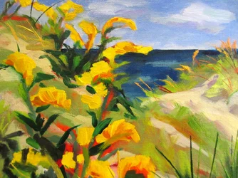 Gelbe Dünenblüten