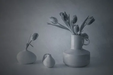 Stimmungsvolles Stillleben mit Tulpen