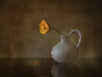 Stimmungsvolle gelbe Blüte