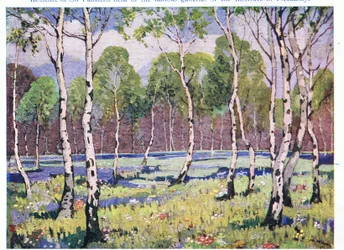 Frühlingswald