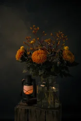 Leuchten der Herbstblumen