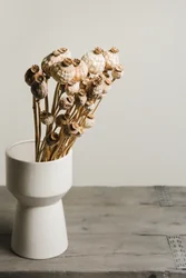 Vase mit natürlichen Mohnkapseln