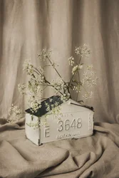 Rustikales botanisches Arrangement