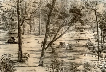 Hütte eines freien Selektors, Australien, 1879