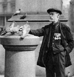 Ein alter Soldat mit einigen Tauben, Trafalgar Square, London, 1926-1927