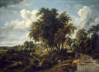 Bewaldete Landschaft: der Weg auf dem Deich