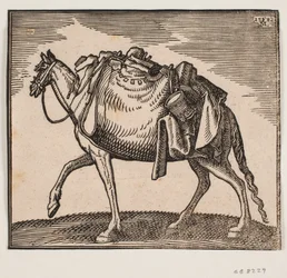 Schwer beladenes Pferd