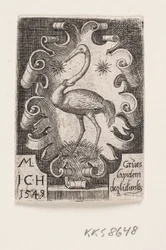 Der Kranich