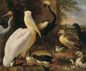 Pelikan, Kronenkranich, Hokkohuhn, Saruskranich und Enten in einer Flusslandschaft