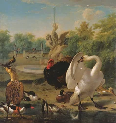 Ein Park mit Schwan und anderen Vögeln