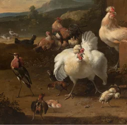 Detail aus Menagerie, ca. 1680