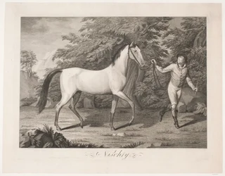 Das Pferd "Hesten Nischty"