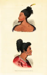 Büsten von Maori-Männern mit Gesichtstätowierungen oder Ta moko aus Neuseeland