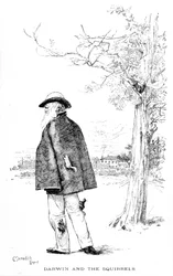 Darwin und die Eichhörnchen, Illustration aus Charles Darwin, Sein Leben und Werk von Charles Frederick Holder, 1899