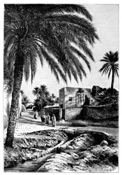 Eine Straße in Biskra, Algerien, 1895