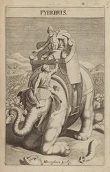 Pyrrhus, griechischer General und Staatsmann