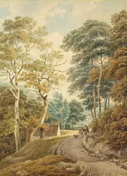 Ein Weg in der Nähe von Hindhead