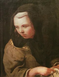 Das Gehör