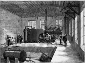 Öffentliche Gesundheit