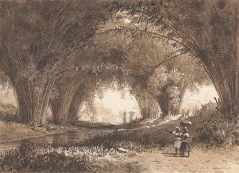 Bambusbögen, St. Anns