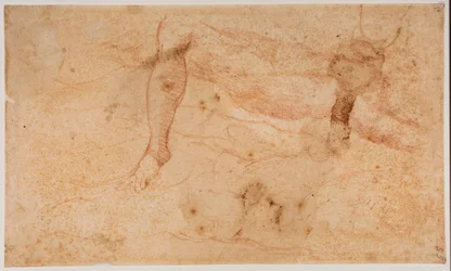 Studien von Aktfiguren