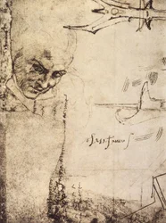 Gesicht, Zeichnung von Michelangelo, Kabinett der Zeichnungen und Drucke, Uffizien, Florenz