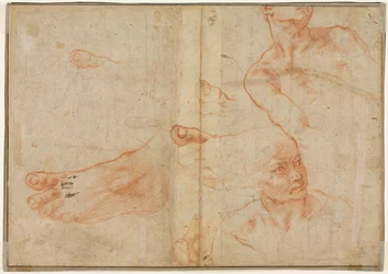 Figurenstudien für die Sixtinische Decke verso, 1510-11