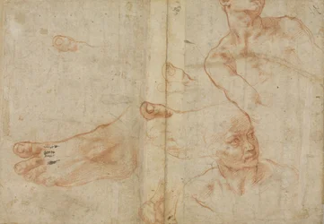 Figurenstudien für die Sixtinische Decke