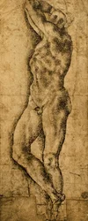 Männlicher Akt; Zeichnung von Michelangelo. Der Louvre, Paris