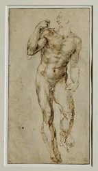 Männlicher Akt, Frontalansicht, um 1502-1506