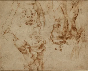 Aktstudien, ca. 1490-1560