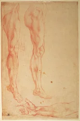 Studien von Beinen und Armen